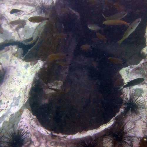 King Cruiser Wreck Dive Site, Thailand