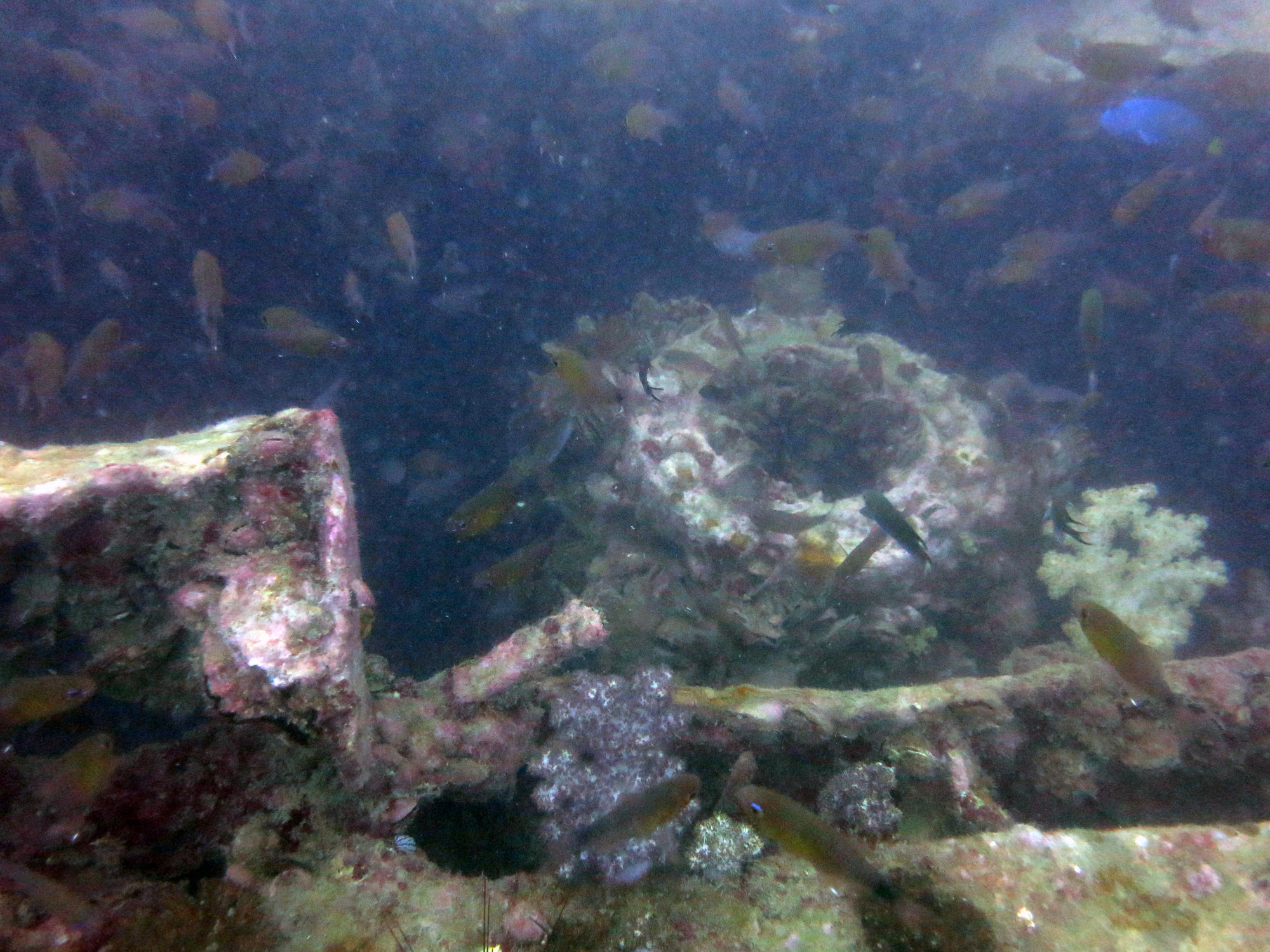 King Cruiser Wreck Dive Site, Thailand