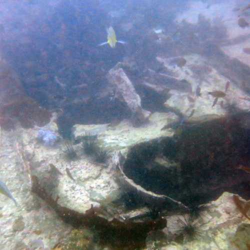 King Cruiser Wreck Dive Site, Thailand