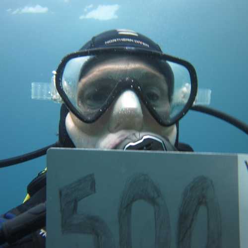 Moi 500th dive