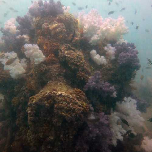 King Cruiser Wreck Dive Site, Thailand