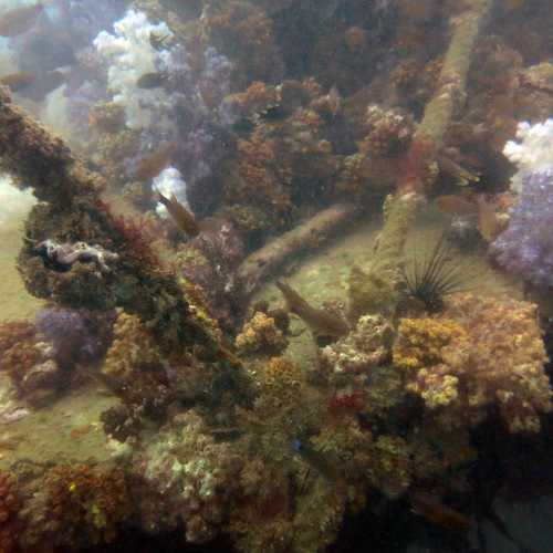 King Cruiser Wreck Dive Site, Thailand