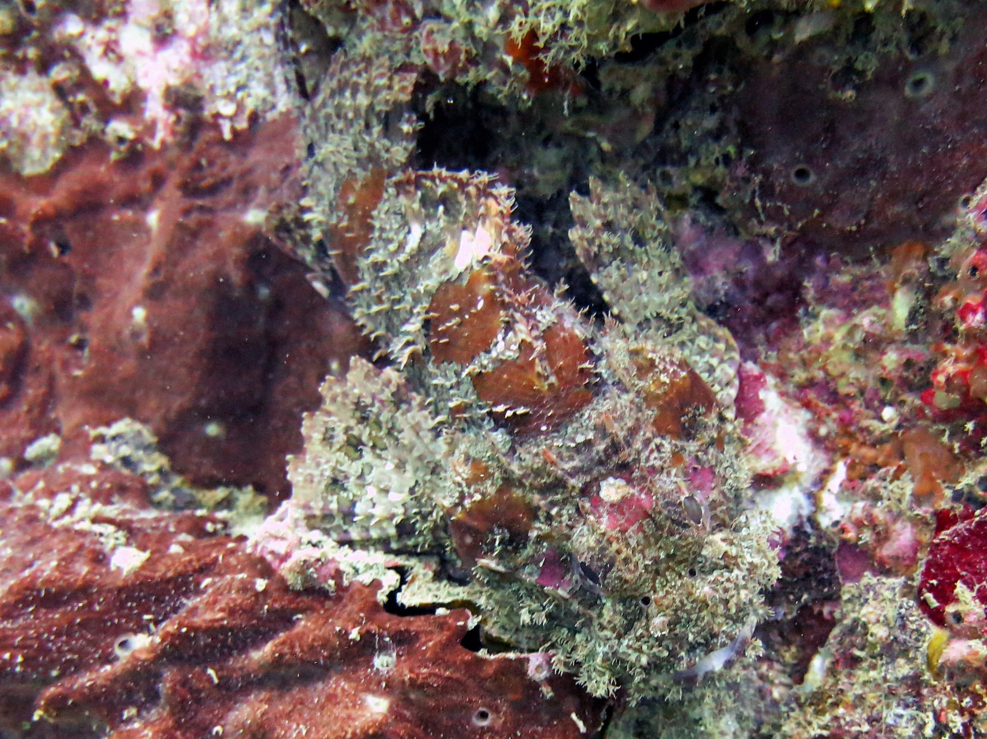 Boonsung Wreck, Thailand