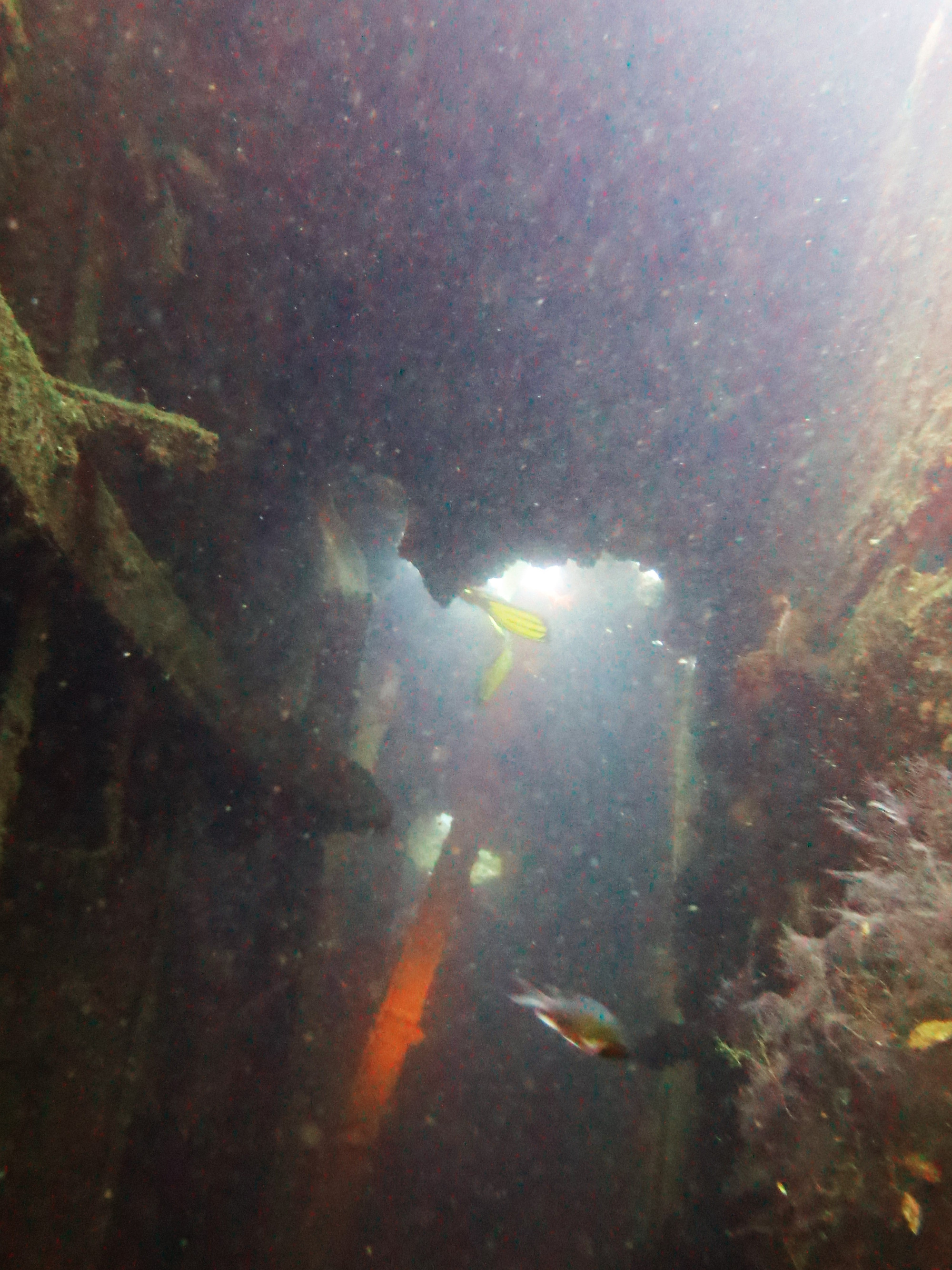 Akitsushima wreck - Navy seaplane tender - 118m (22 to 36m, Филиппины