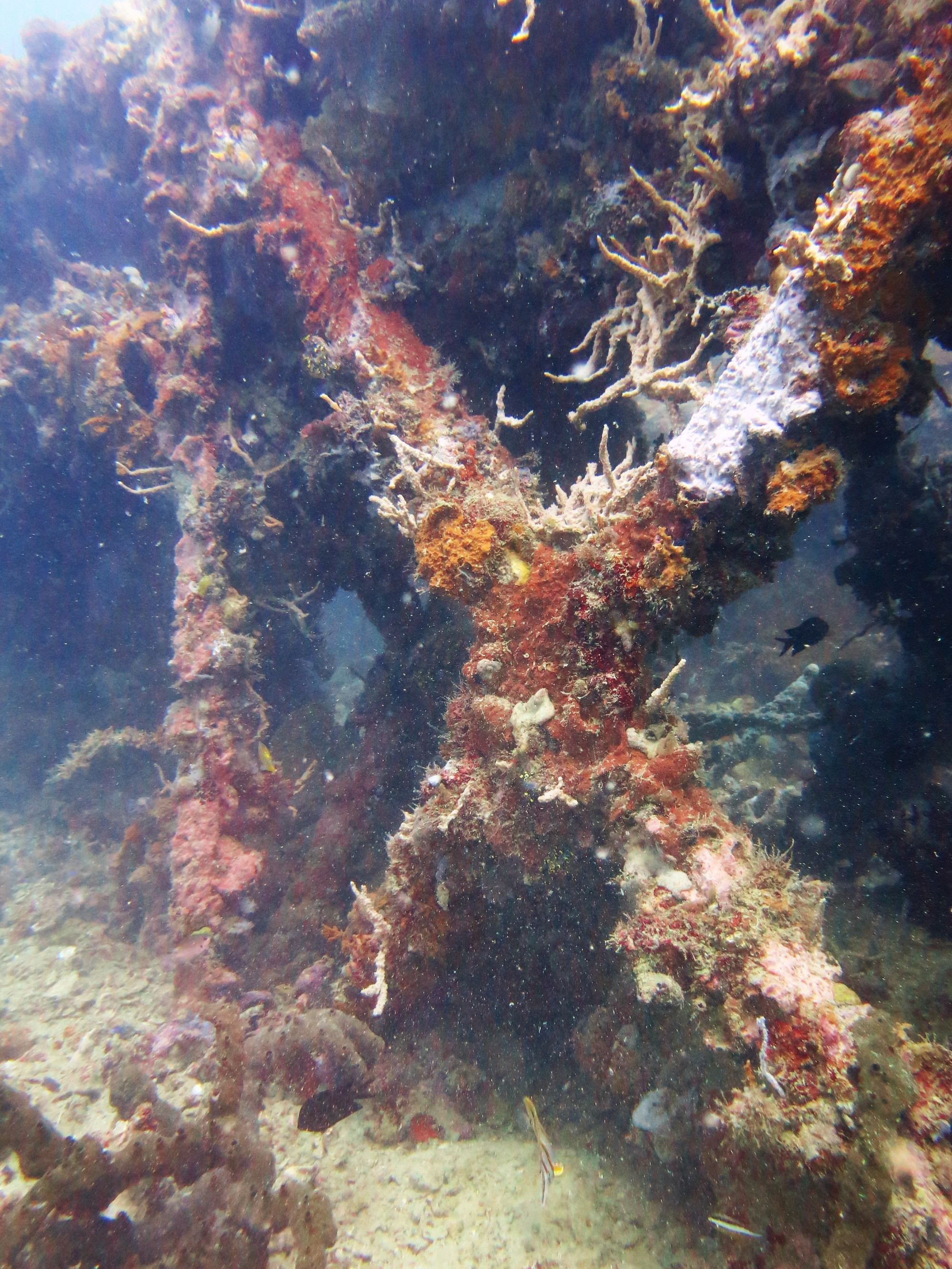 Okikawa Wreck 