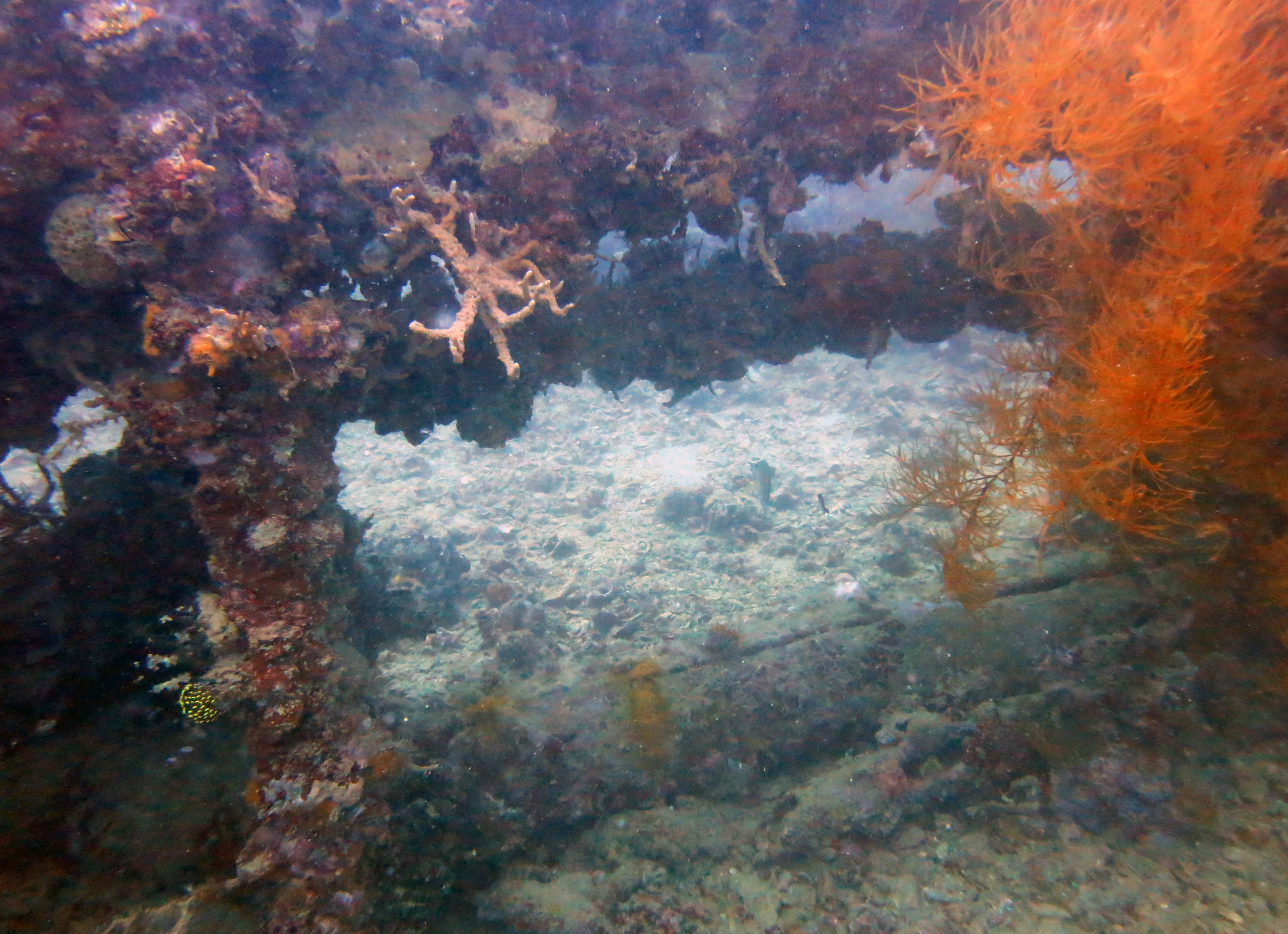 Okikawa Wreck 