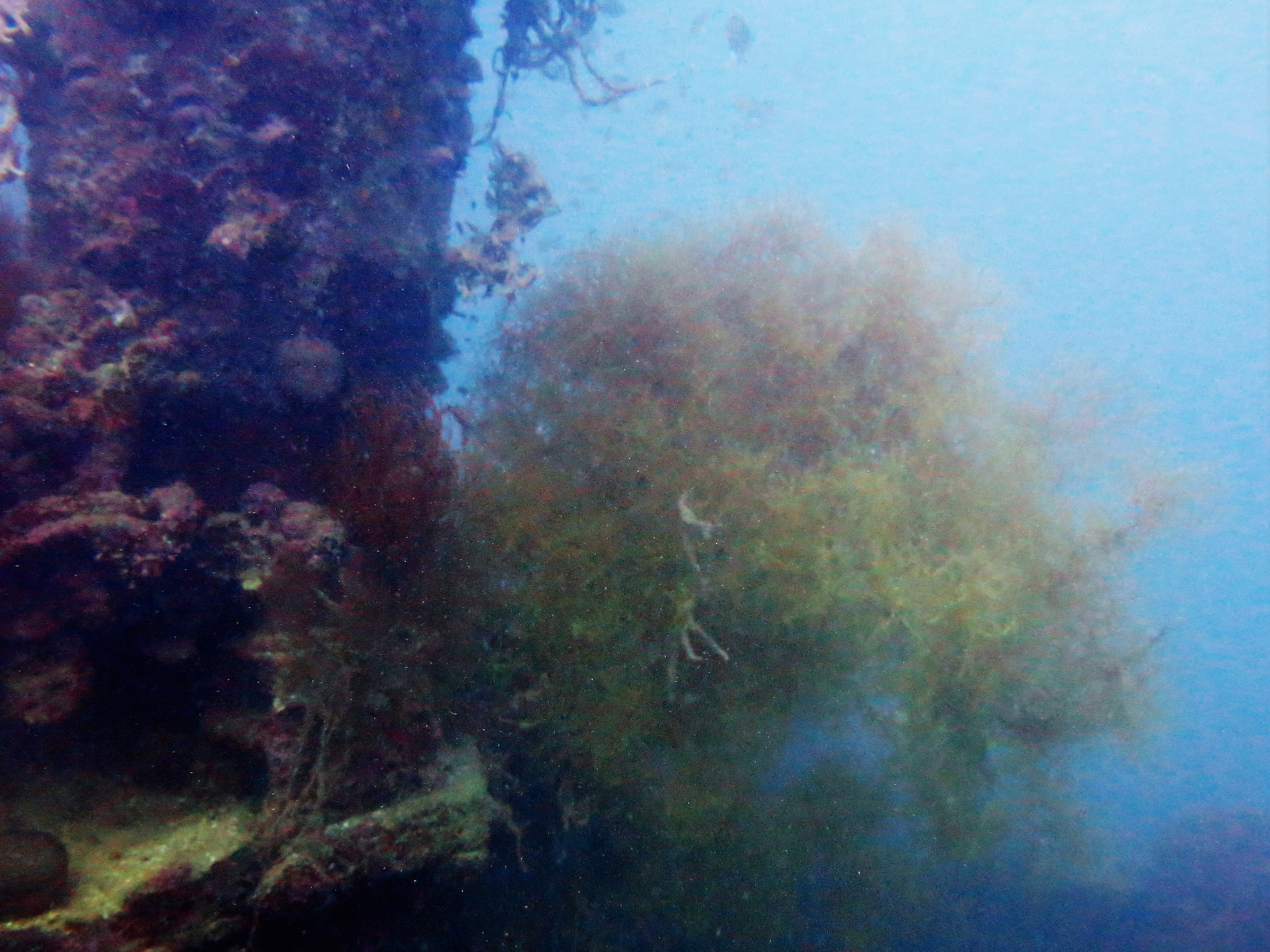 Olympia Maru Wreck, Филиппины