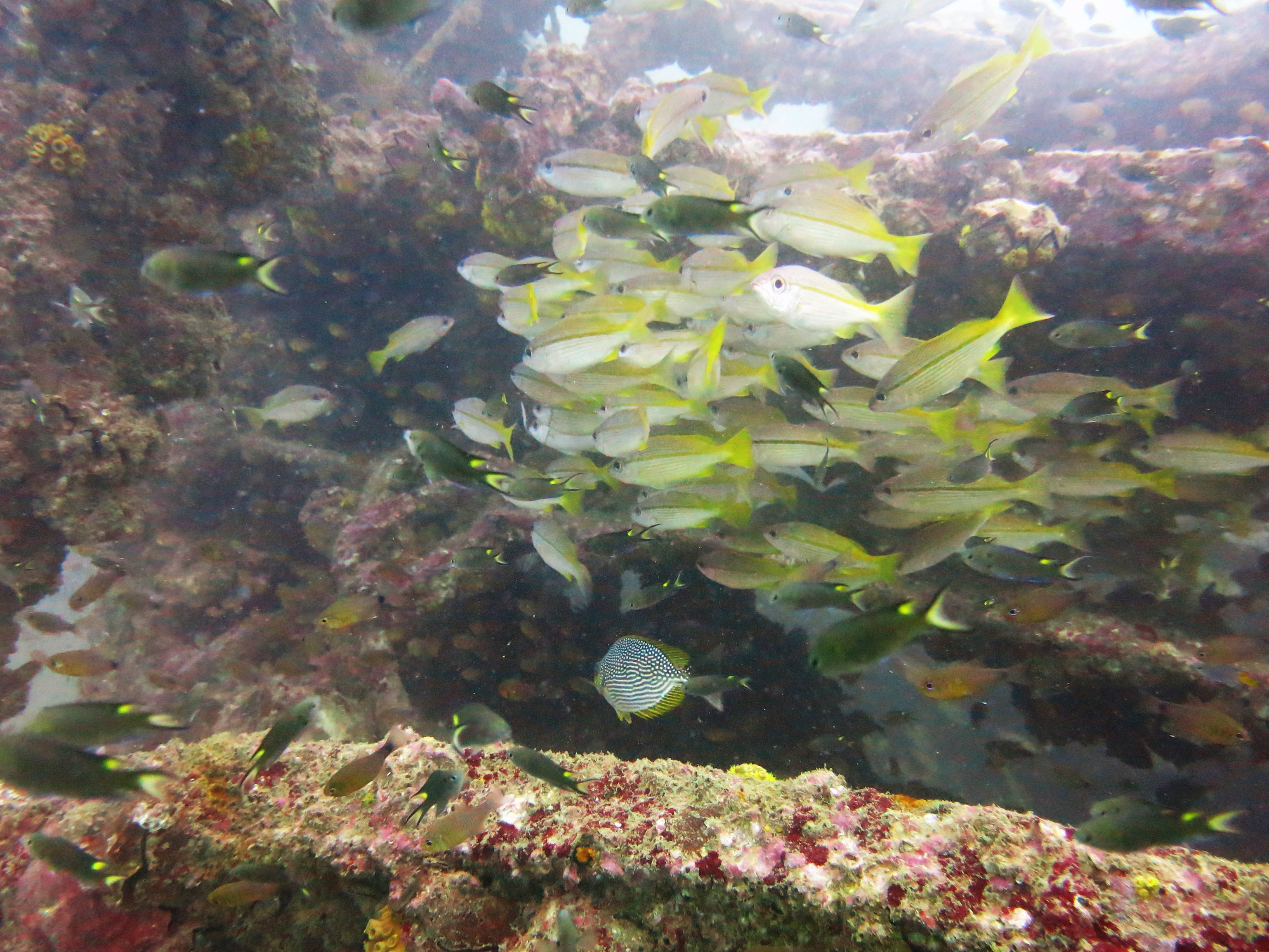 Boonsung Wreck, Thailand