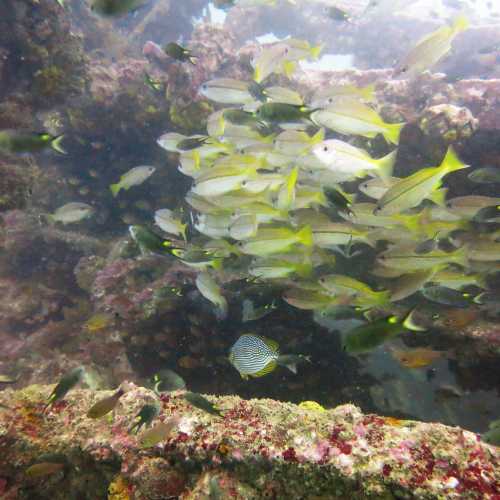 Boonsung Wreck, Thailand