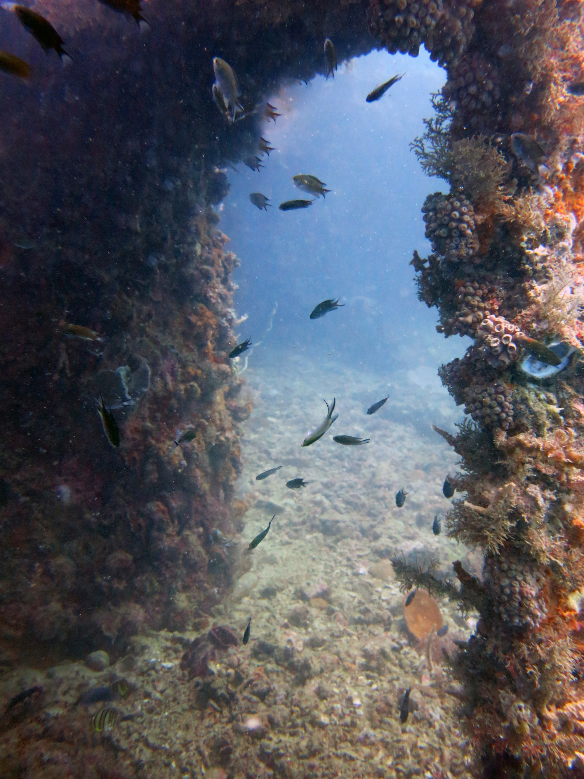 Okikawa Wreck 