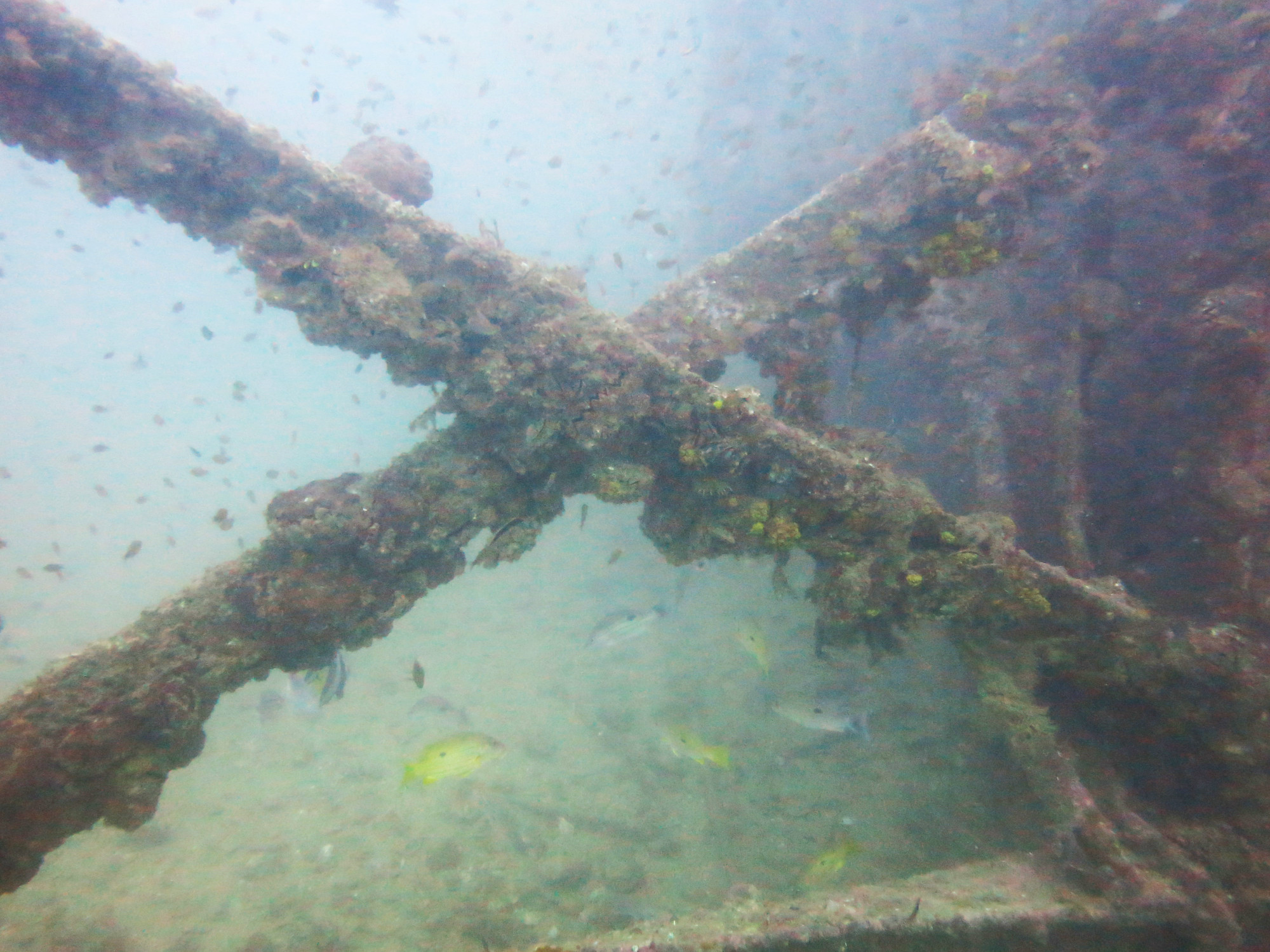 Boonsung Wreck, Thailand