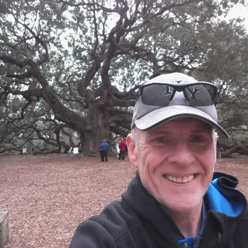 Angel oak tree photo