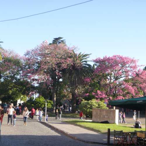 Колония дель Сакраменто, Уругвай