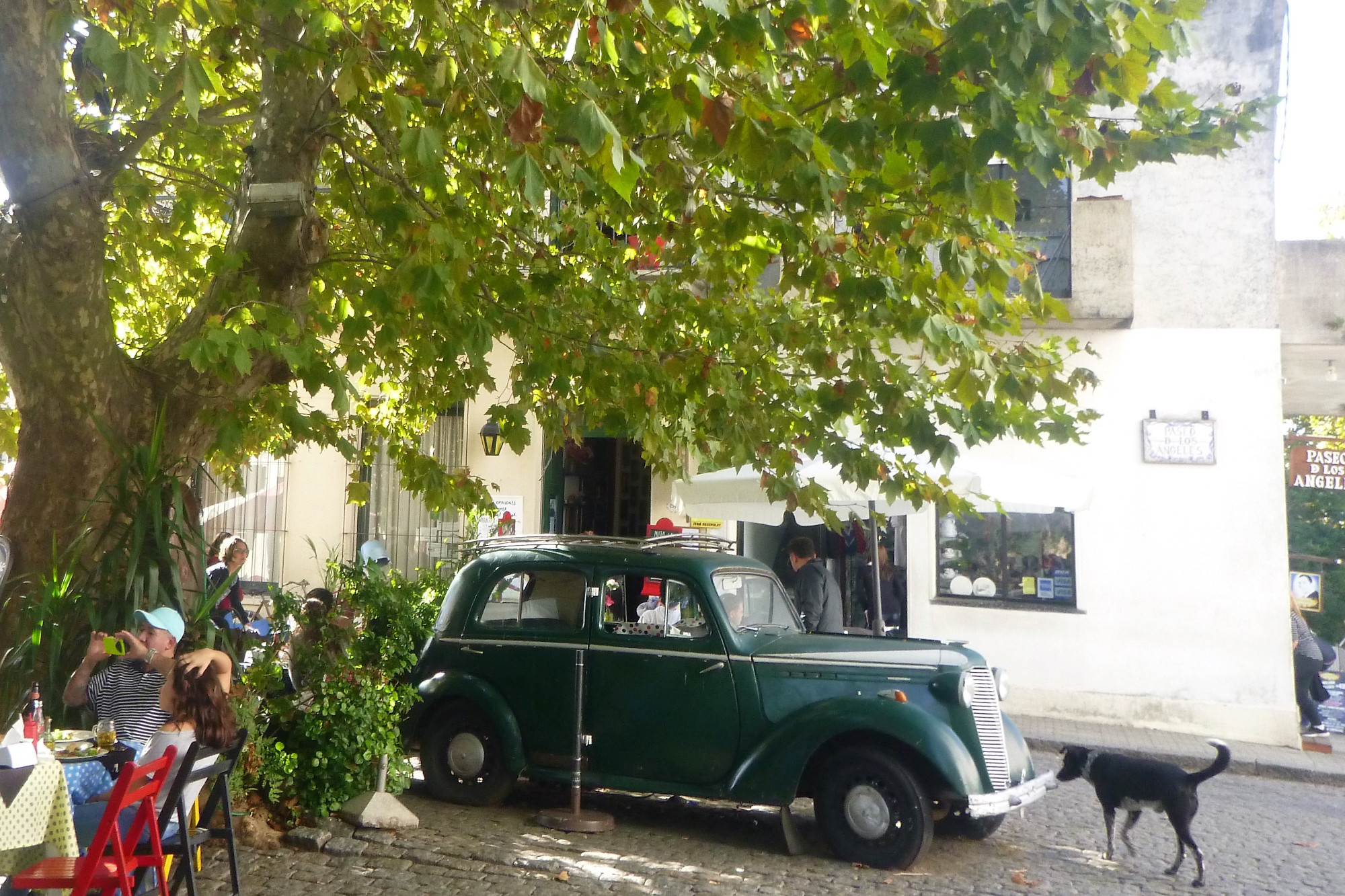 Old car outside cafe