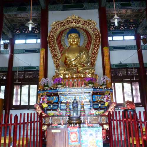 Chinese Buddhist Monastery, Nepal