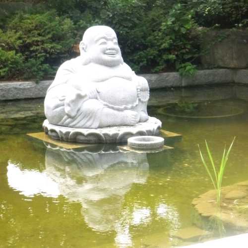Yoga Buddha