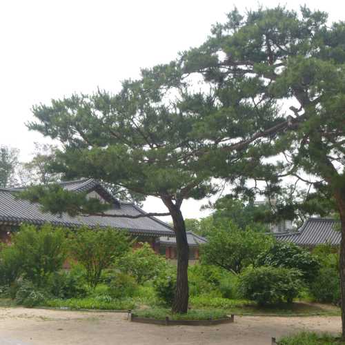 Changdeokgung Palace, Южная Корея