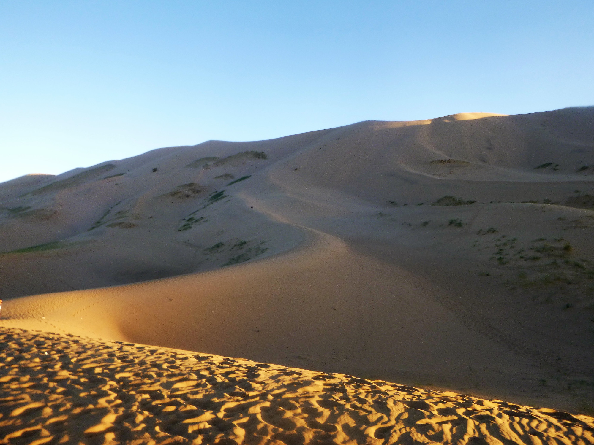 Khongor Els Sand Dunes, Mongolia