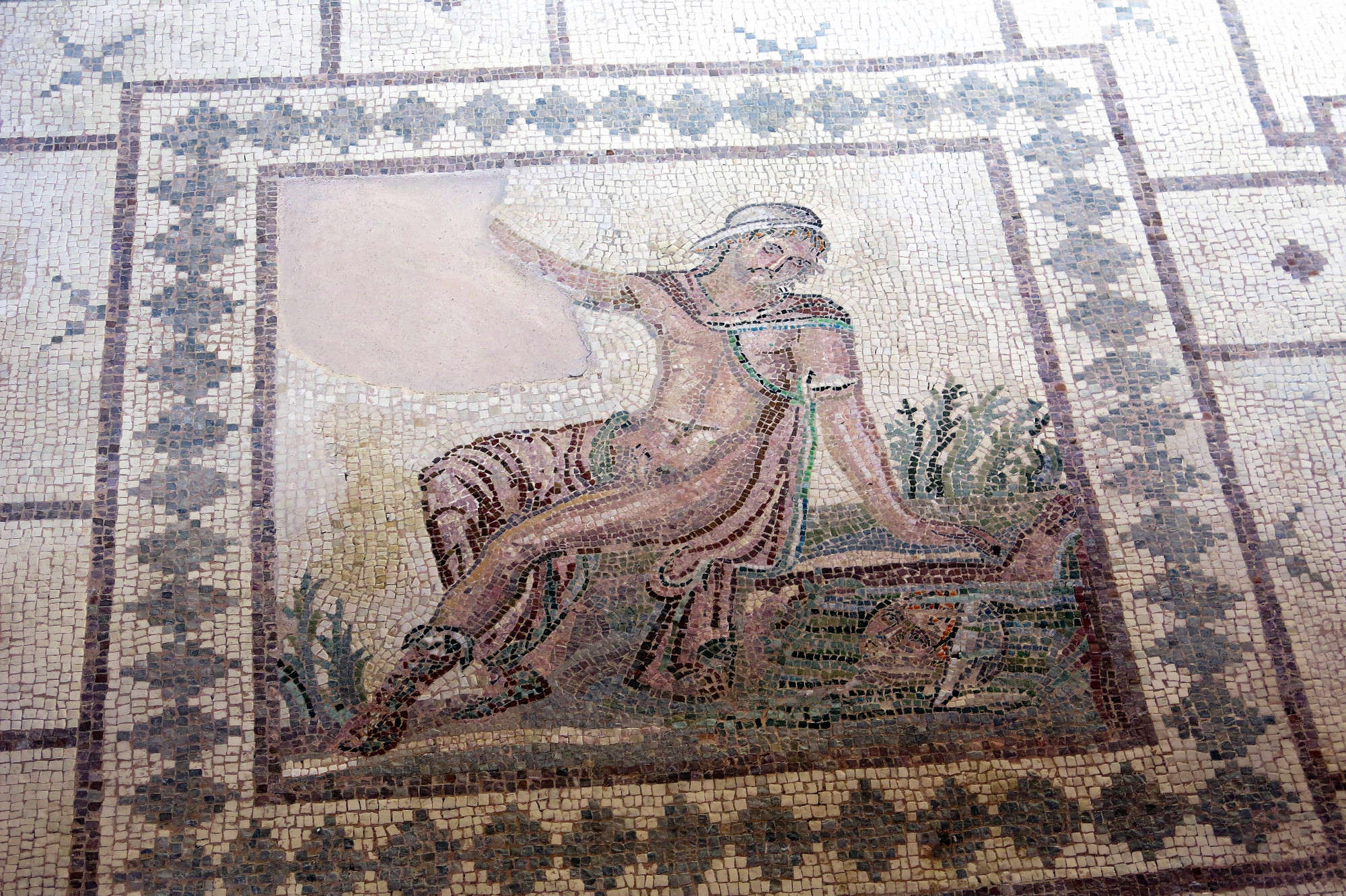Mosaic depicting Narcissus