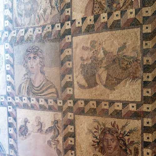 House of Dionysus, Кипр