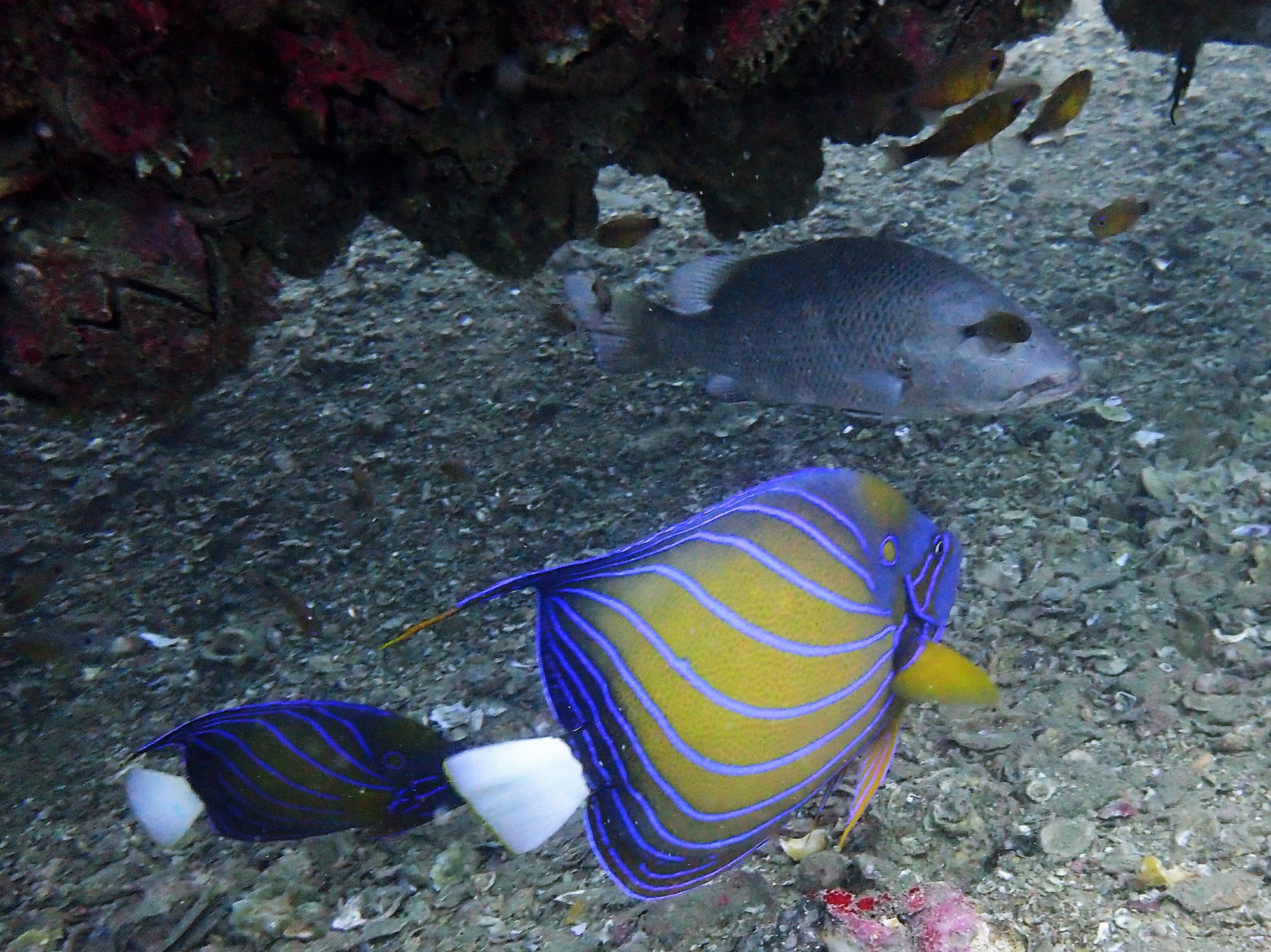 Boonsung Wreck, Thailand