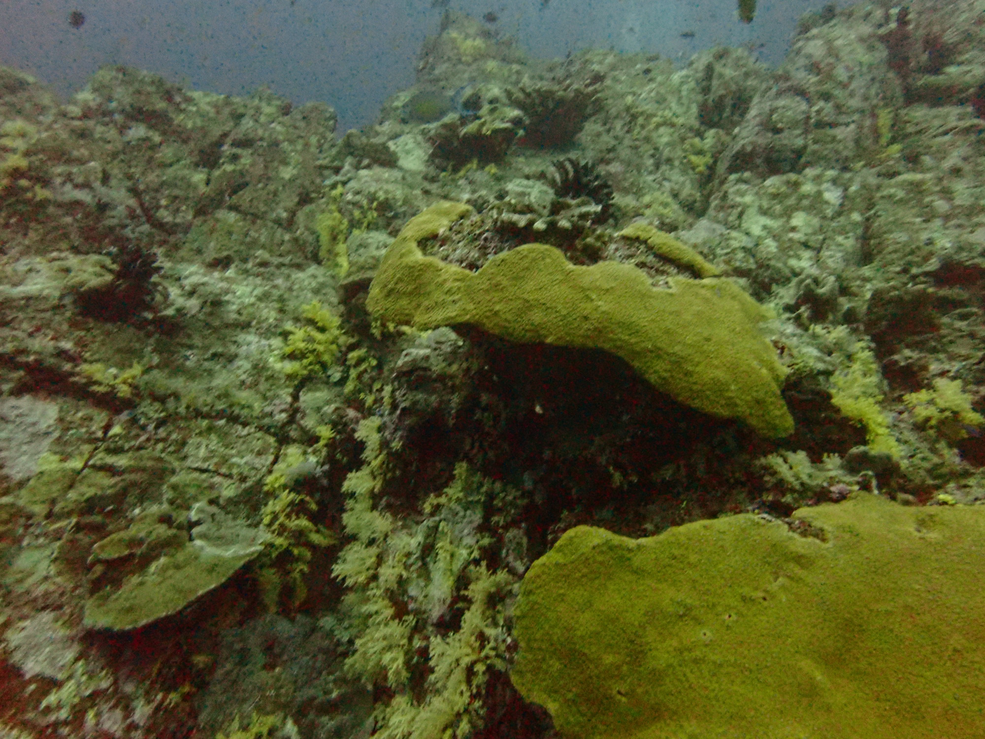 Hin Luang (Yellow Rock), Thailand