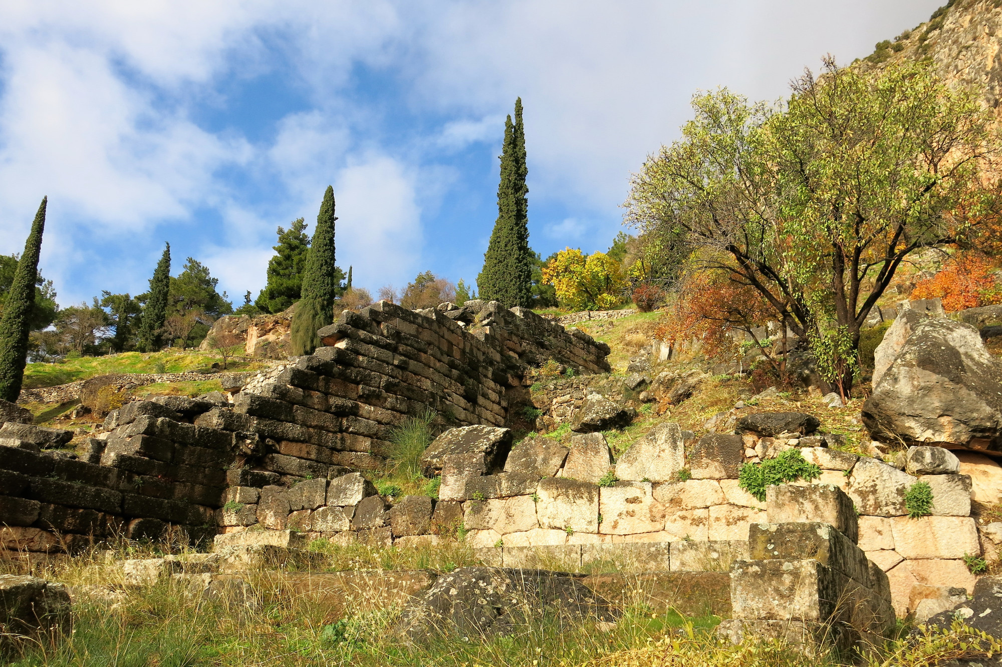 Delphi Phocis