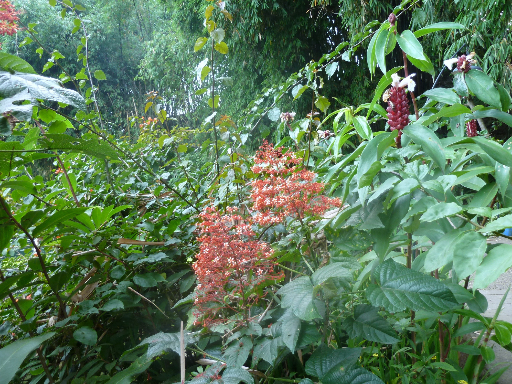 Sampireun Village, Indonesia