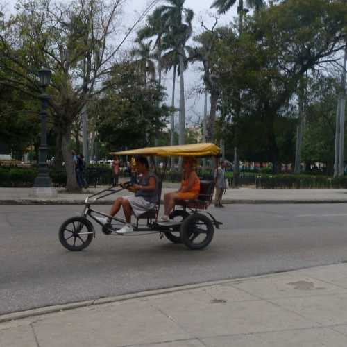 Cyclo-rickshaw