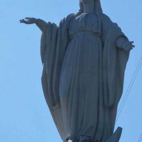 Statue of te Blessed Virgin Mary