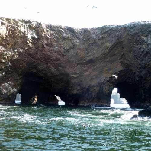 Islas Ballestas, Peru