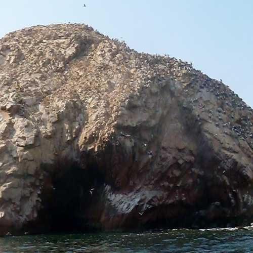Islas Ballestas, Peru