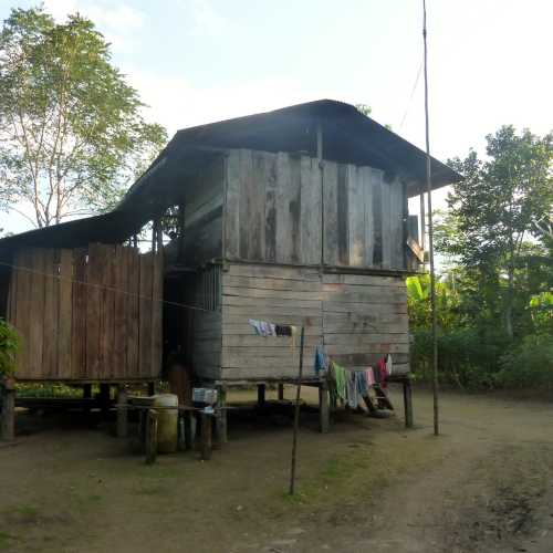 Village Headman Hut