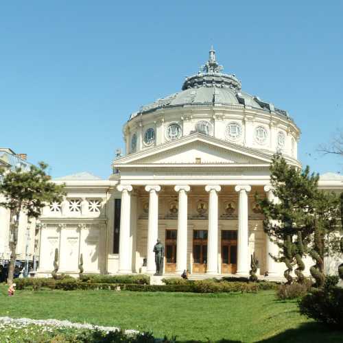 Romanian Athenaeum<br/>
Performing arts theater