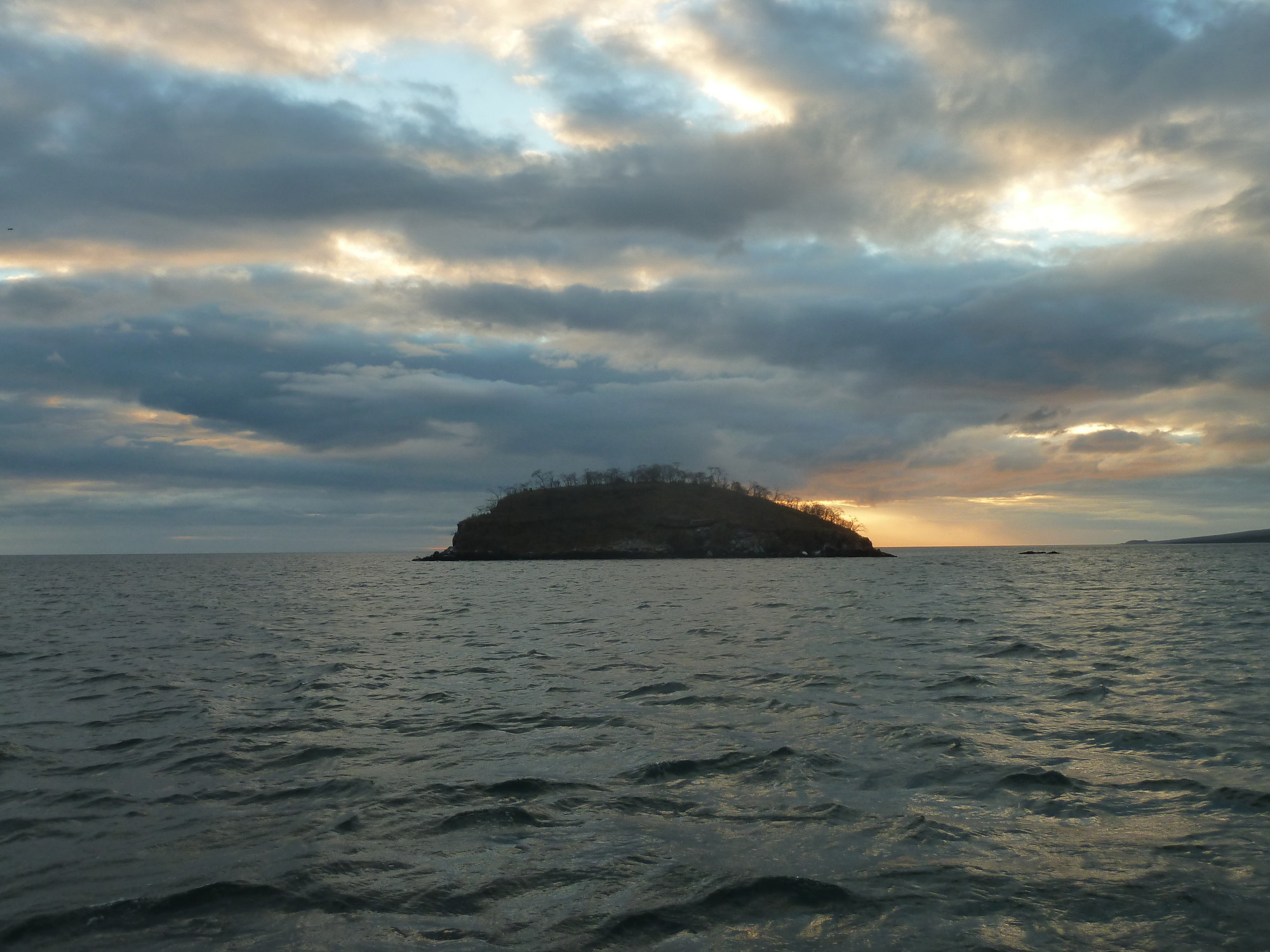 Isabella Island, Ecuador