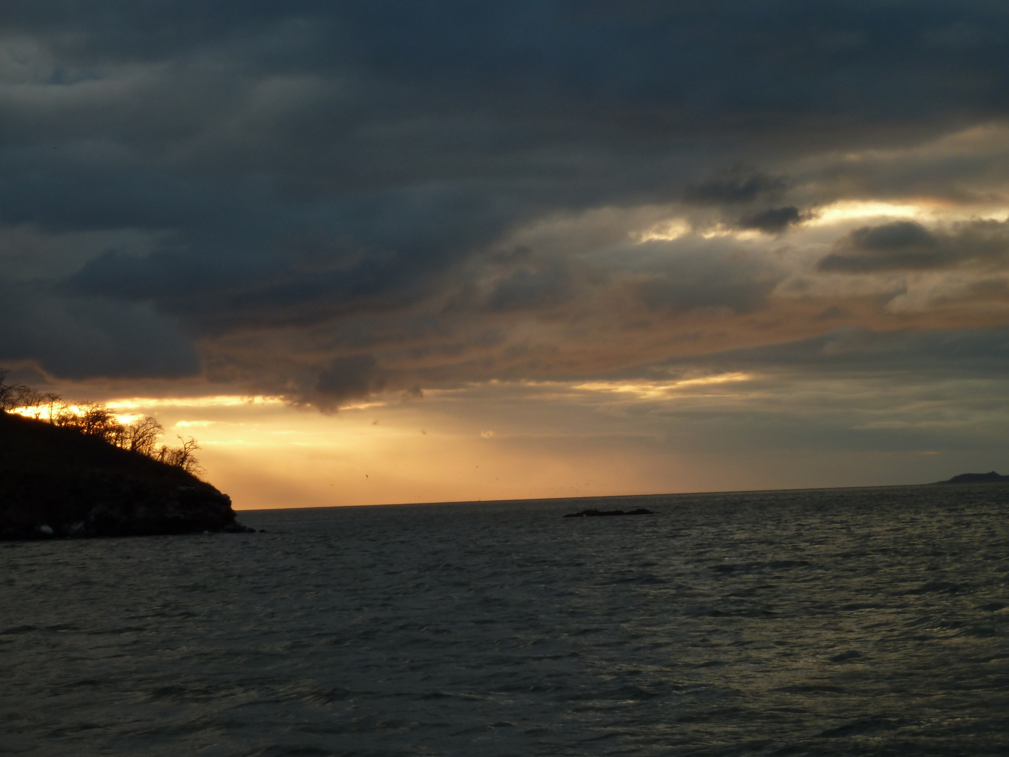 Isabella Island, Ecuador