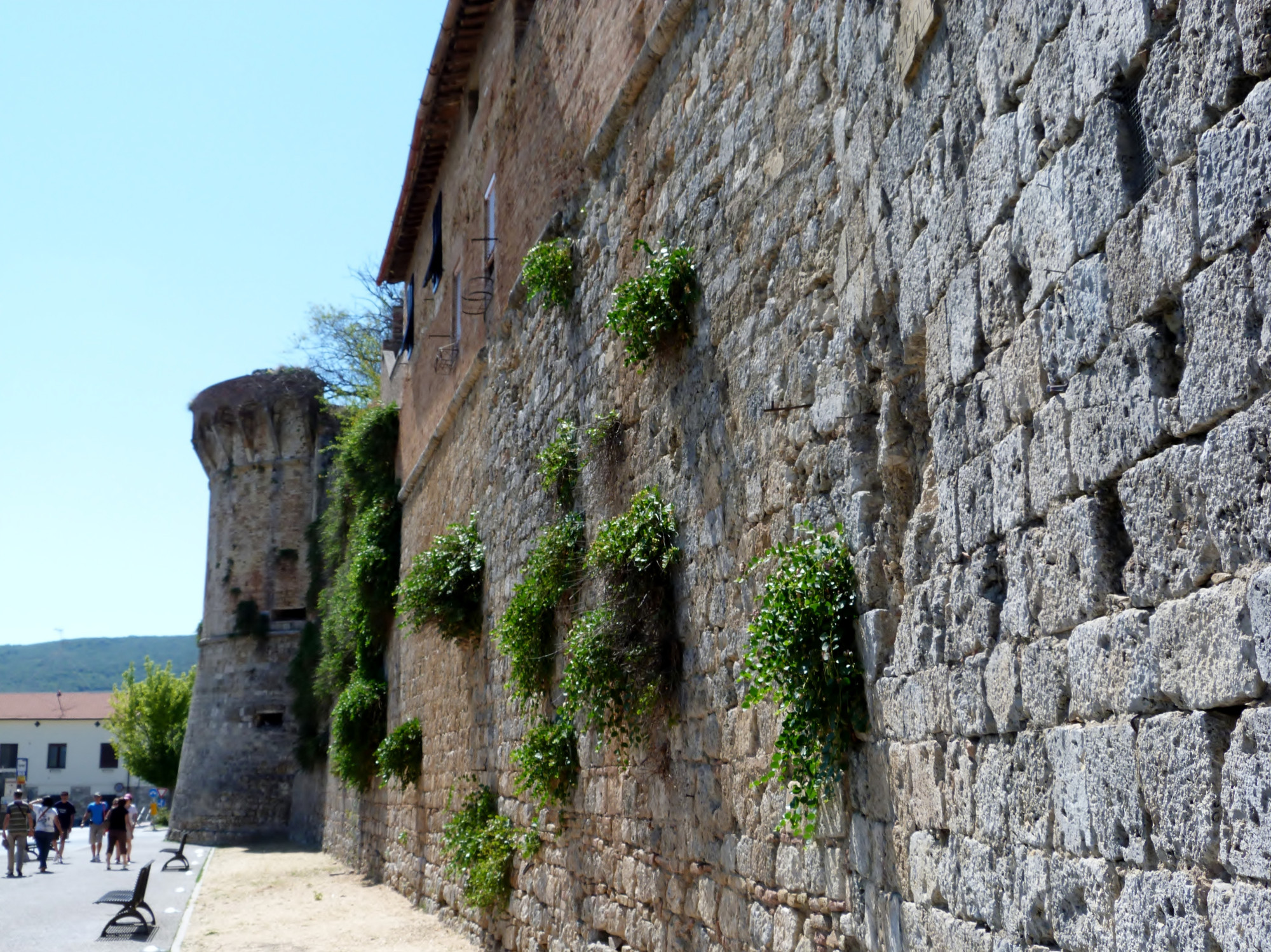 Town Walls