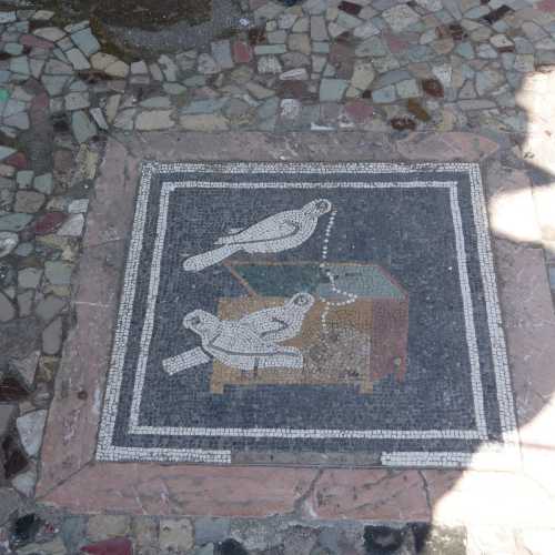 roman mosaic birds stealing pearls