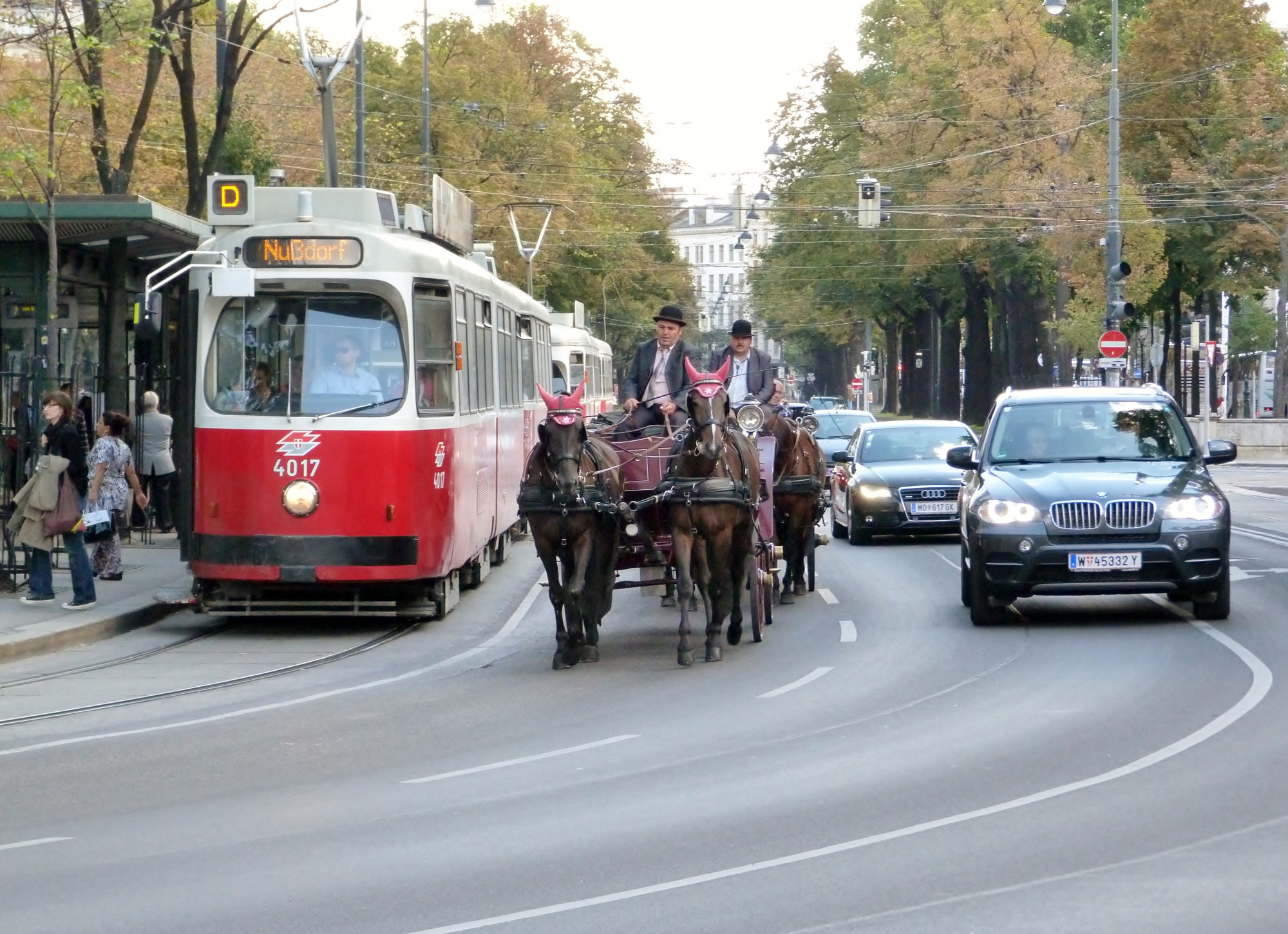 Public Transport wiener-linien tram<br/>
Horse & Buggy