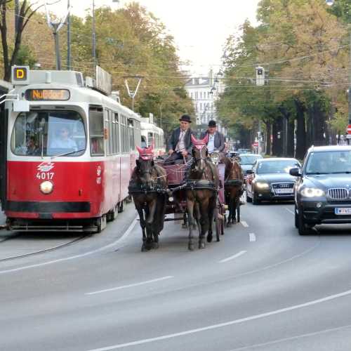Public Transport wiener-linien tram<br/>
Horse & Buggy