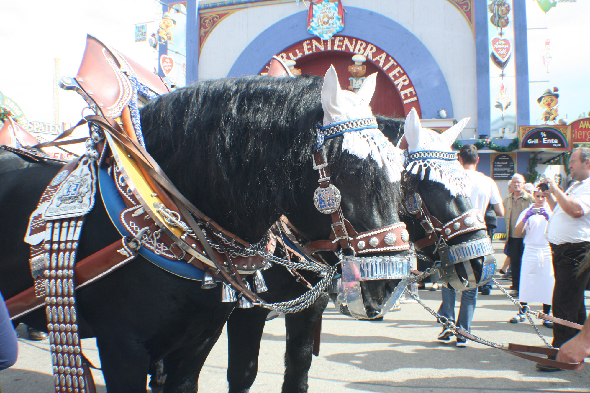 Ocktoberfest, Германия