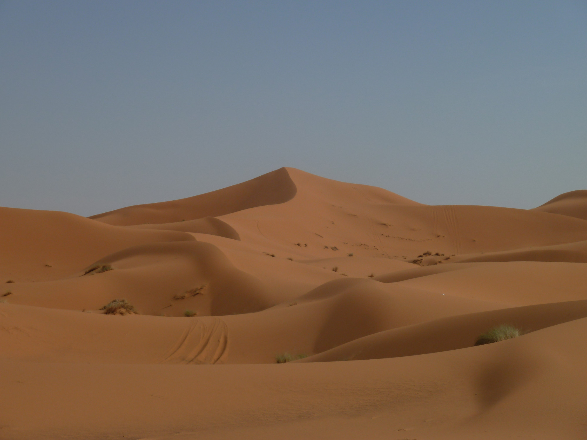 Sand Dunes