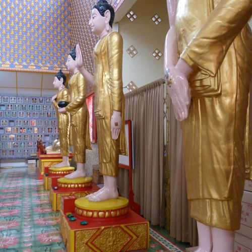 Standing Buddhas