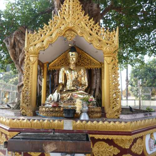 Bodhi Tree Shrine