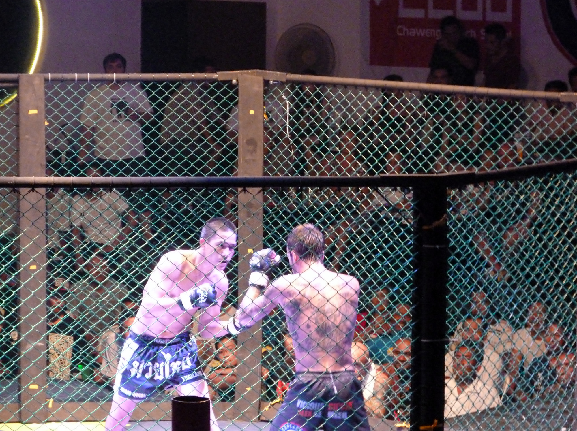 MMA fight