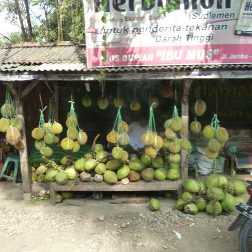 Dreaded Durian Fruit