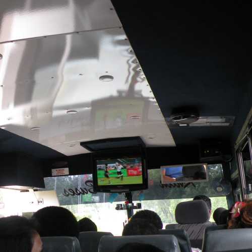 Rugby on local service Bus