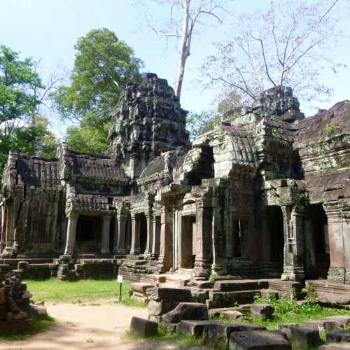 Ta Prohm Temple, Камбоджа
