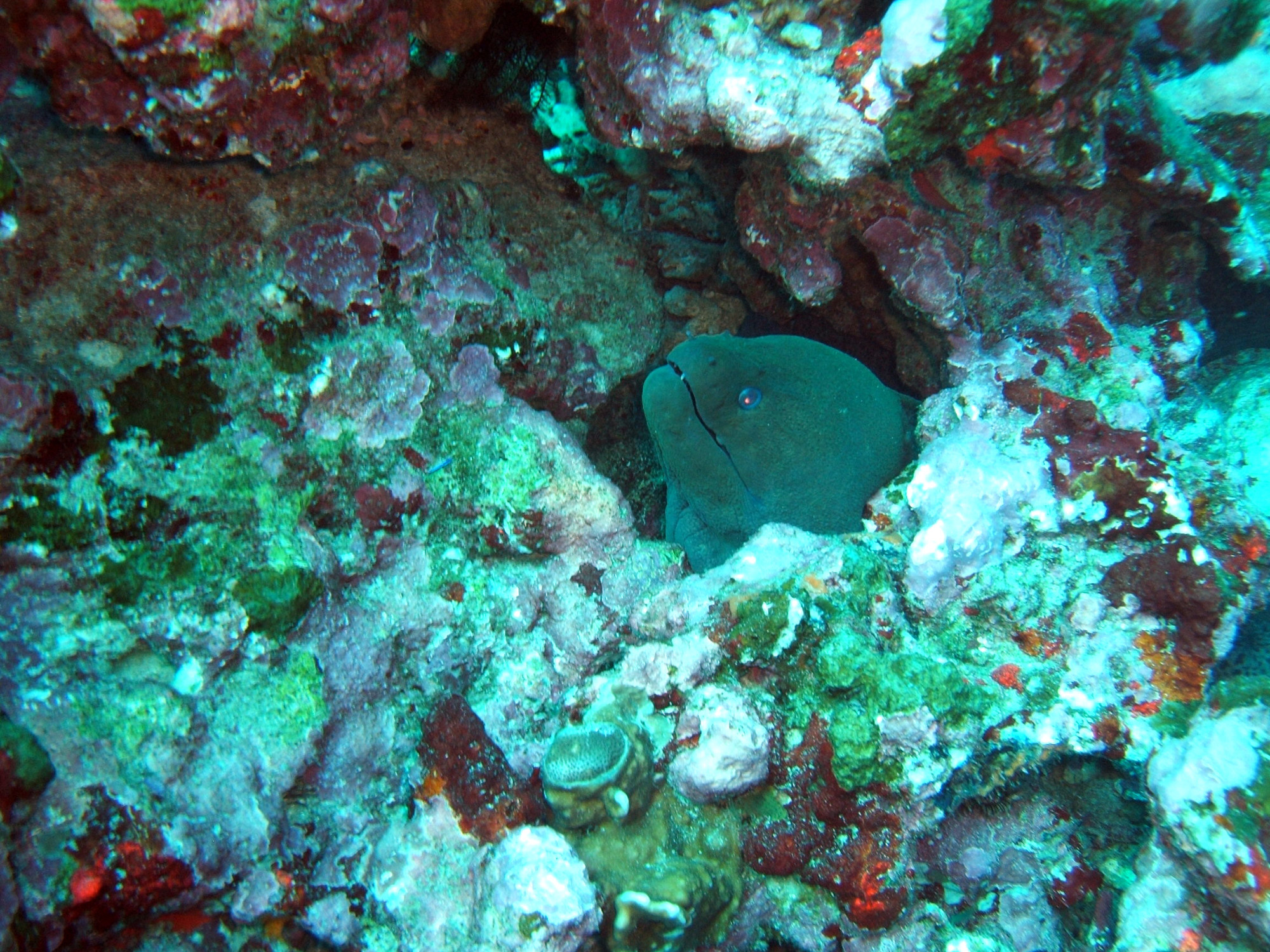 Boonsung Wreck, Thailand