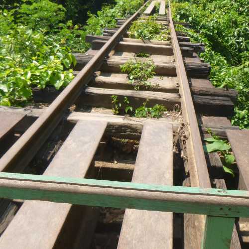 Bamboo Railway Track